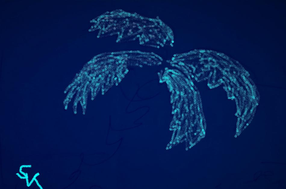blue Phoenix - Key one von SK blue Phoenix - Key one