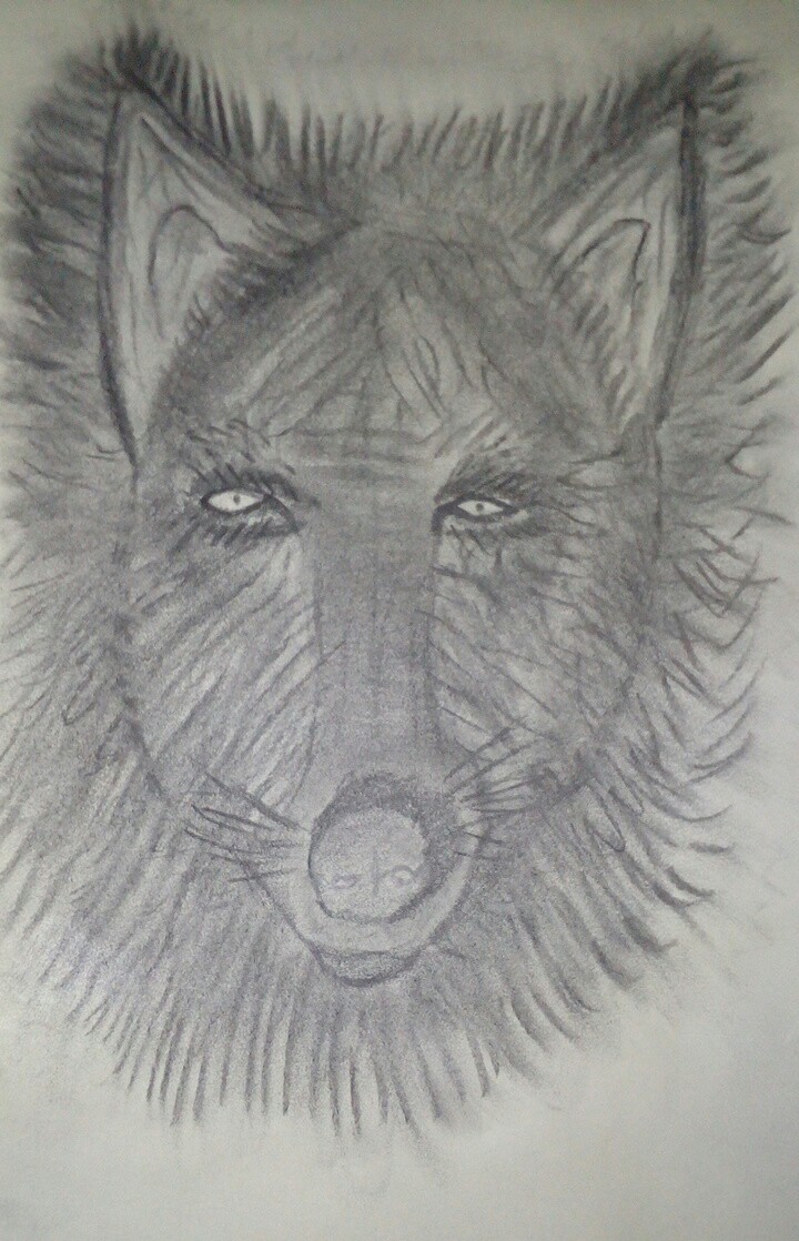 einsamer wolf von kreativattacke einsamer wolf