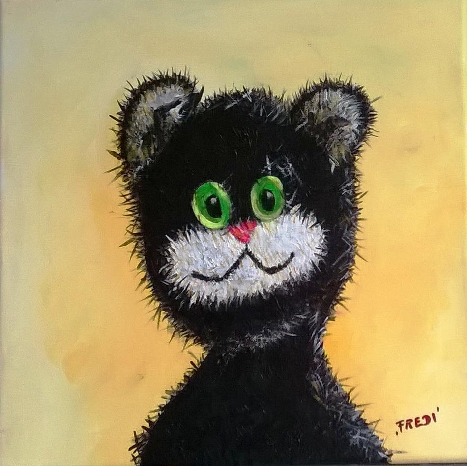 Kater Fredi von Kater Fredi