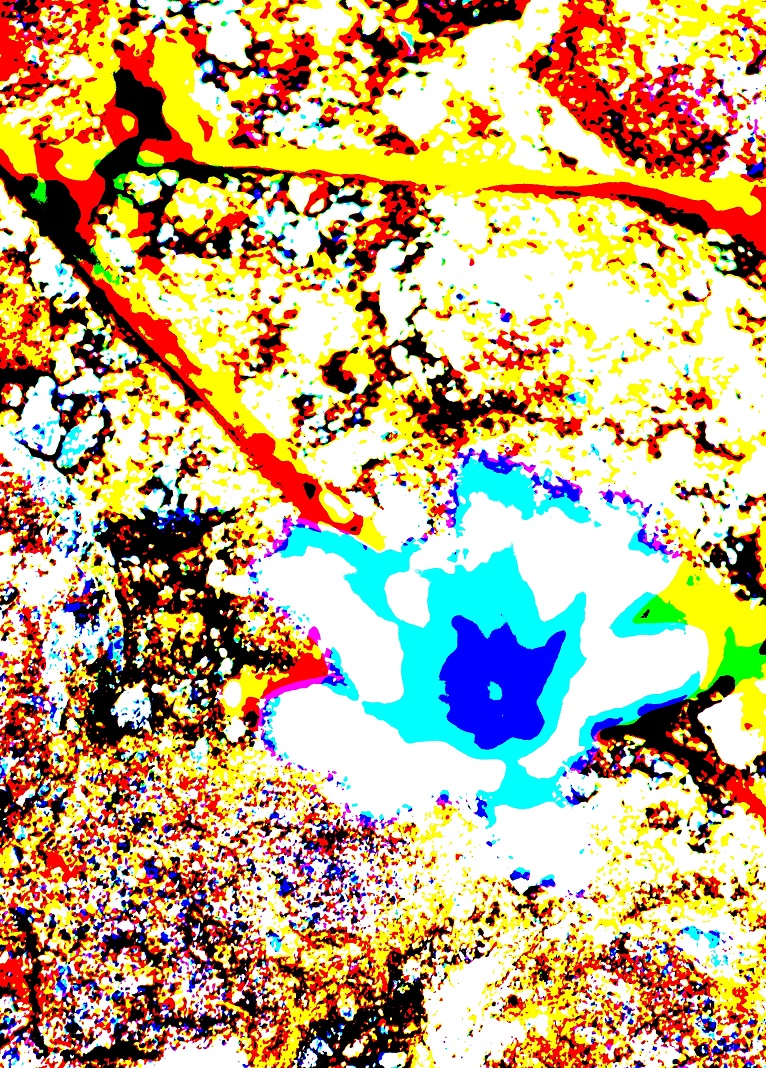 blauer Stern von Art - dELLaS blauer Stern