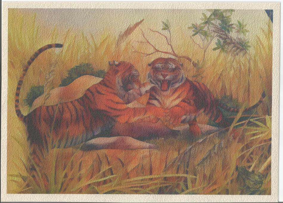 spielende Tiger von spielende Tiger