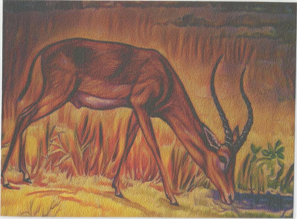 Antilope von Antilope