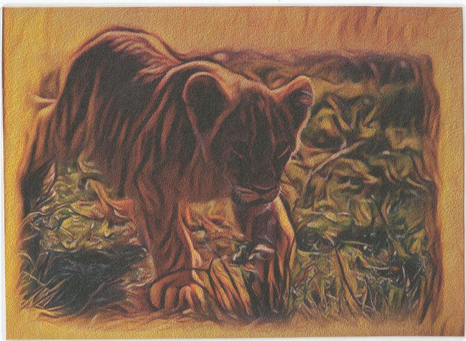 kleiner Tiger unterwegs von kleiner Tiger unterwegs