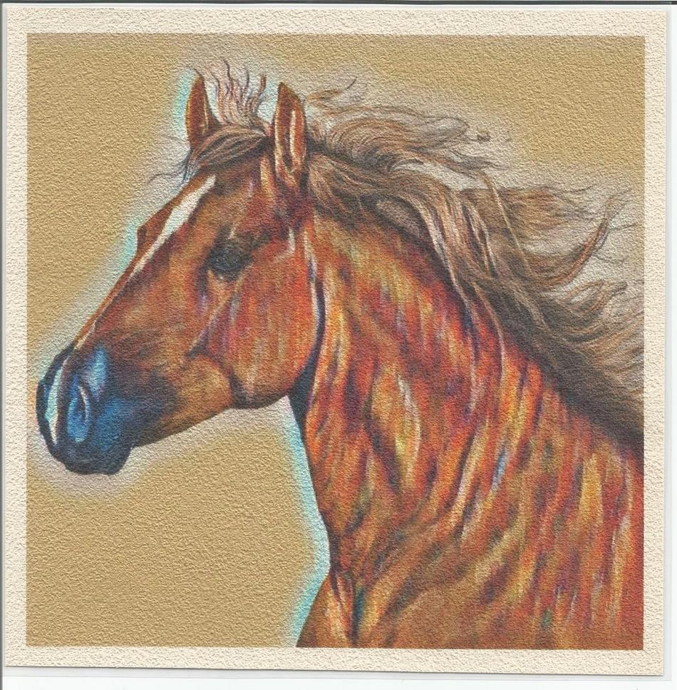 Porträt Pferd von Porträt Pferd