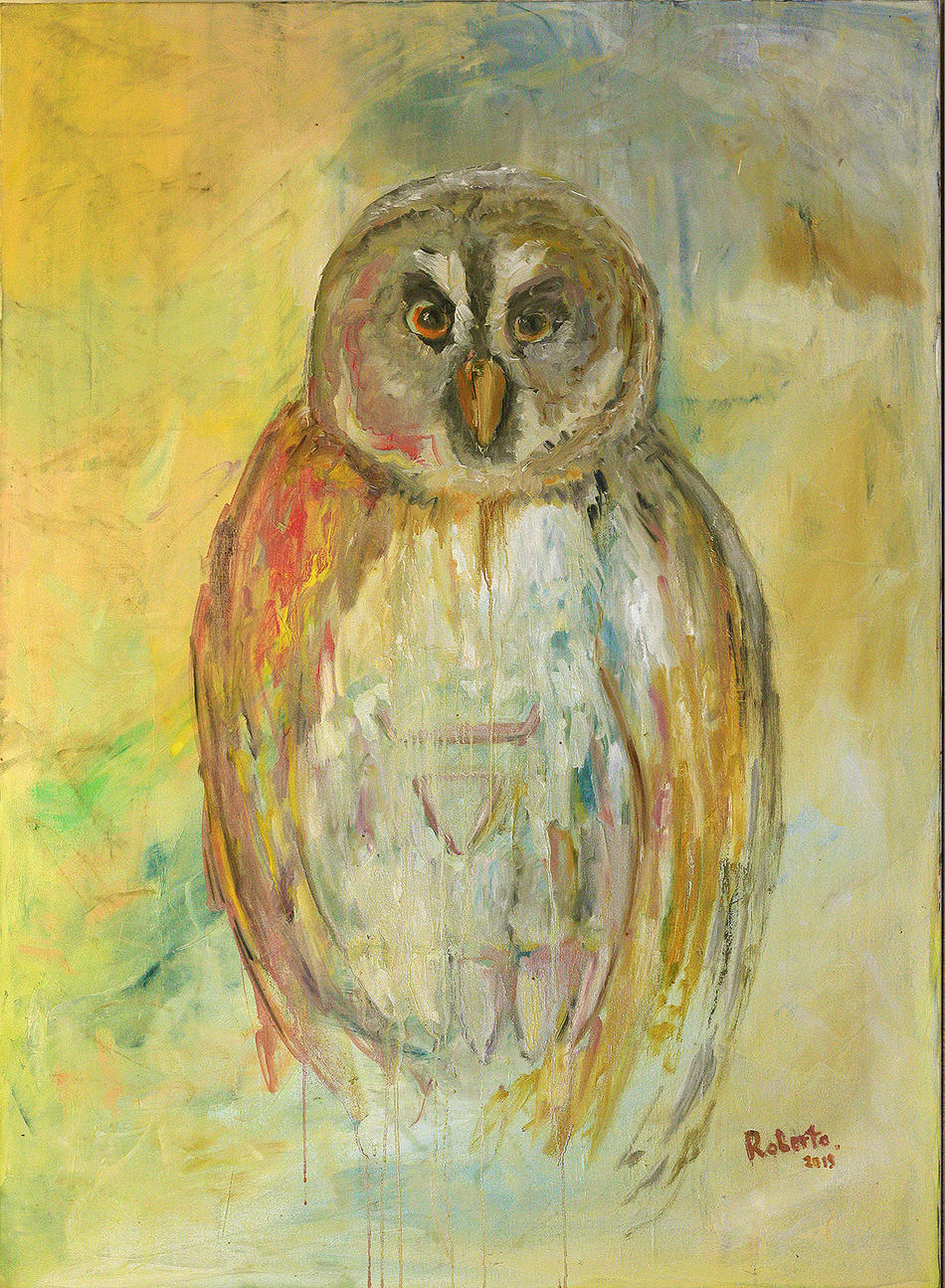 Eule in Herbstfarben / Owl in autumn colors von Robertas Kasperovicius Eule in Herbstfarben / Owl in autumn colors