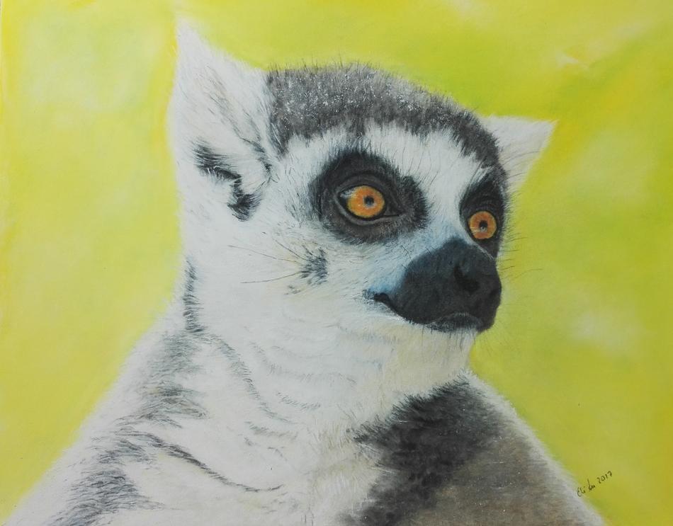 Lemur von EliAn Lemur