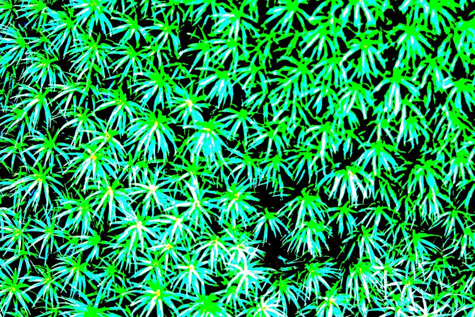 Kunstwerk Green Leafs von Bronson