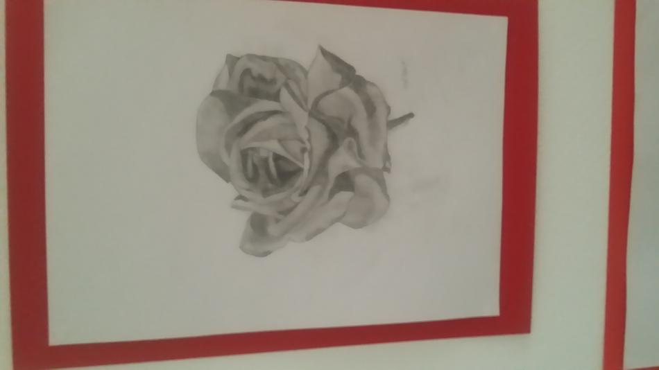 Rose von Cathe Dral Rose