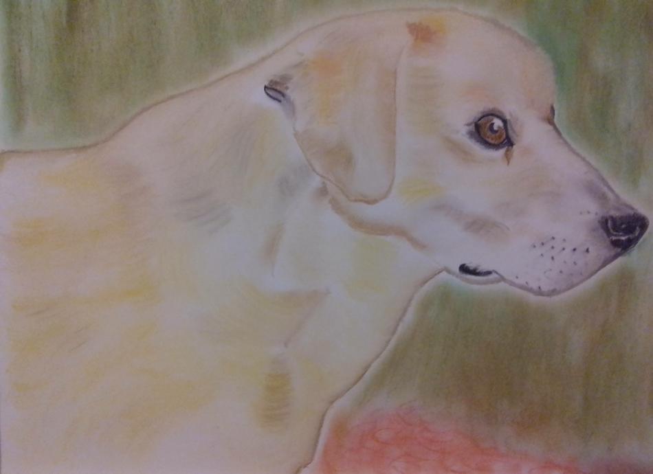 Hunde-Portrait 2 von Cathe Dral Hunde-Portrait 2