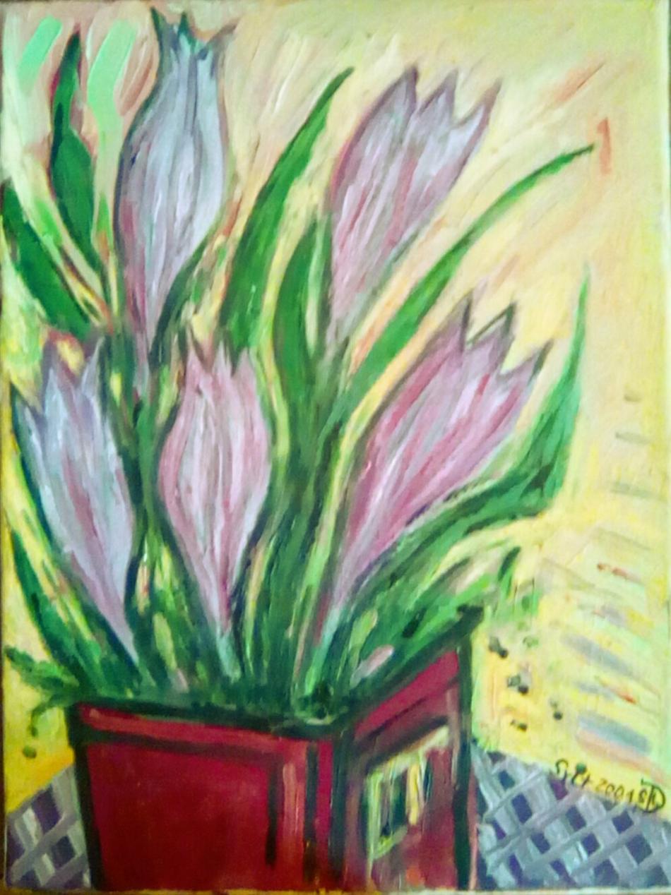 Wilde Tulpen von Wilde Tulpen
