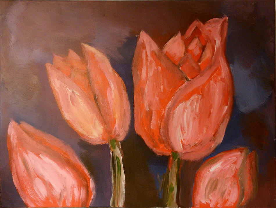 tulp von H.O. tulp