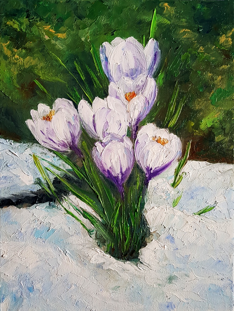 Krokusse im Schnee von S.Ril Krokusse im Schnee