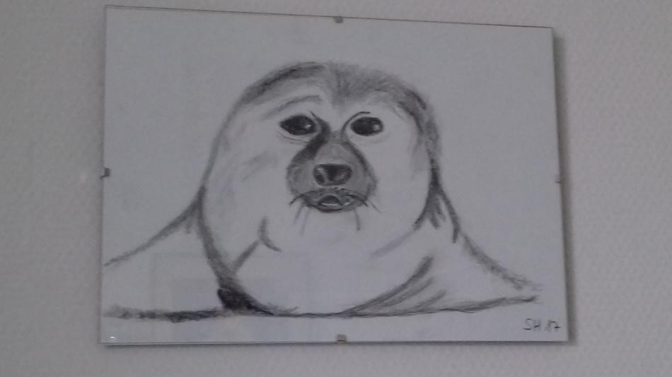 Seehund von Eulenfrau Seehund