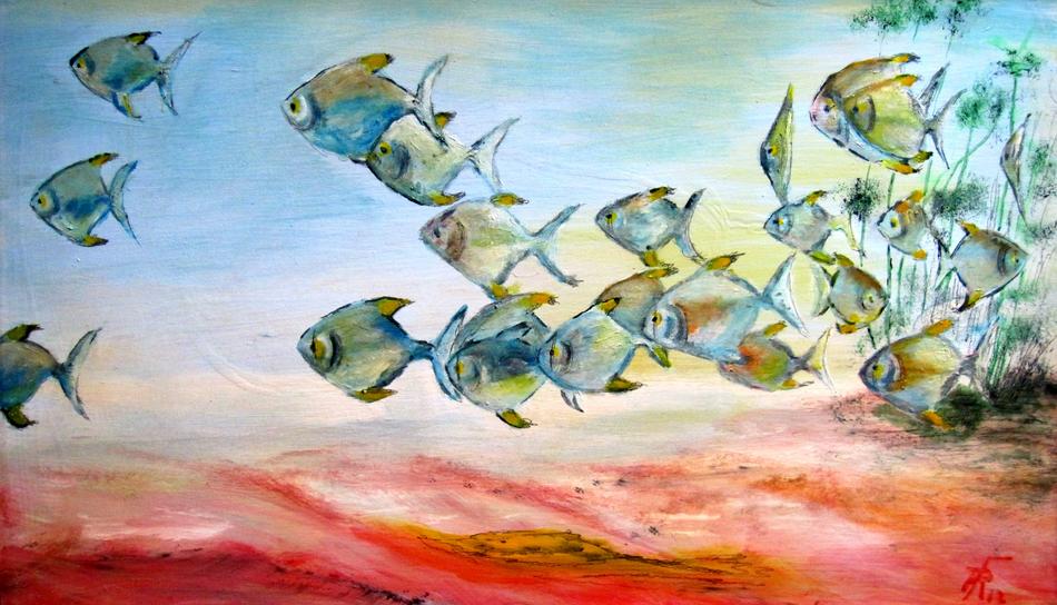 Fischschwarm von Fischschwarm
