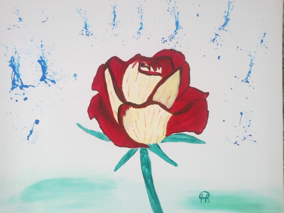 Rose von Rose