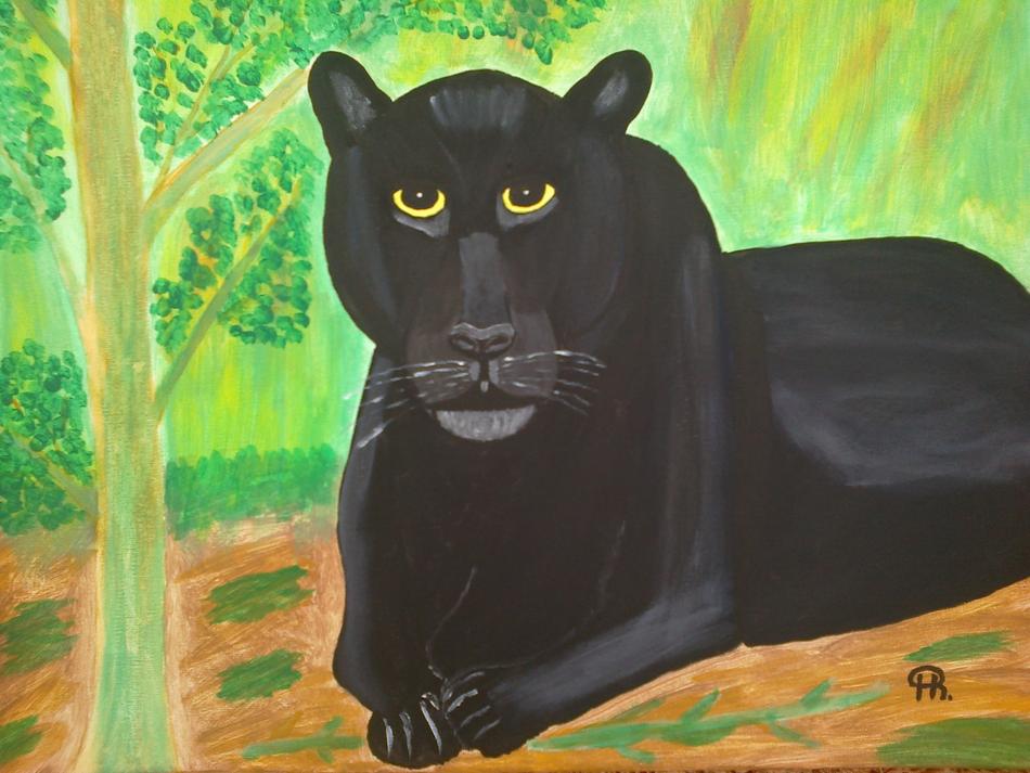 Schwarzer Panther von Schwarzer Panther