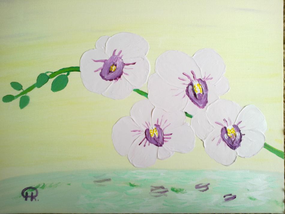 Orchidee über dem Wasser von Orchidee über dem Wasser