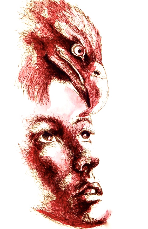 Eagle vision von Alnilam Eagle vision