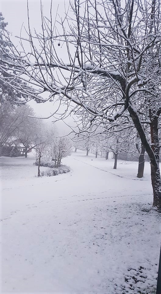 Winterzauber von Winterzauber