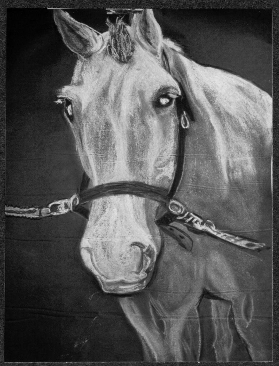 Pferd von Pferd