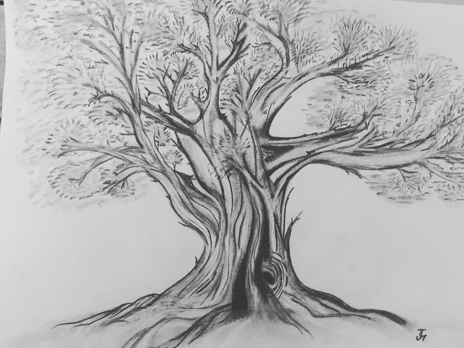 Kunstwerk Eiche von Jane Charlie