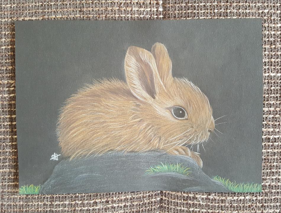 Kaninchen (Junges) von Achcom Arts Kaninchen (Junges)