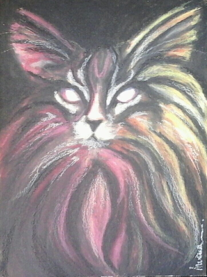 Katzenaugen von Mona Katzenaugen