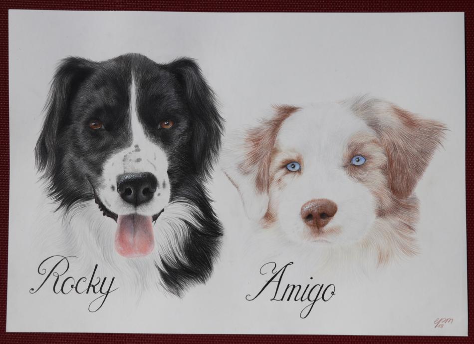 Rocky und Amigo von Peps' Kreativer Winkel Rocky und Amigo