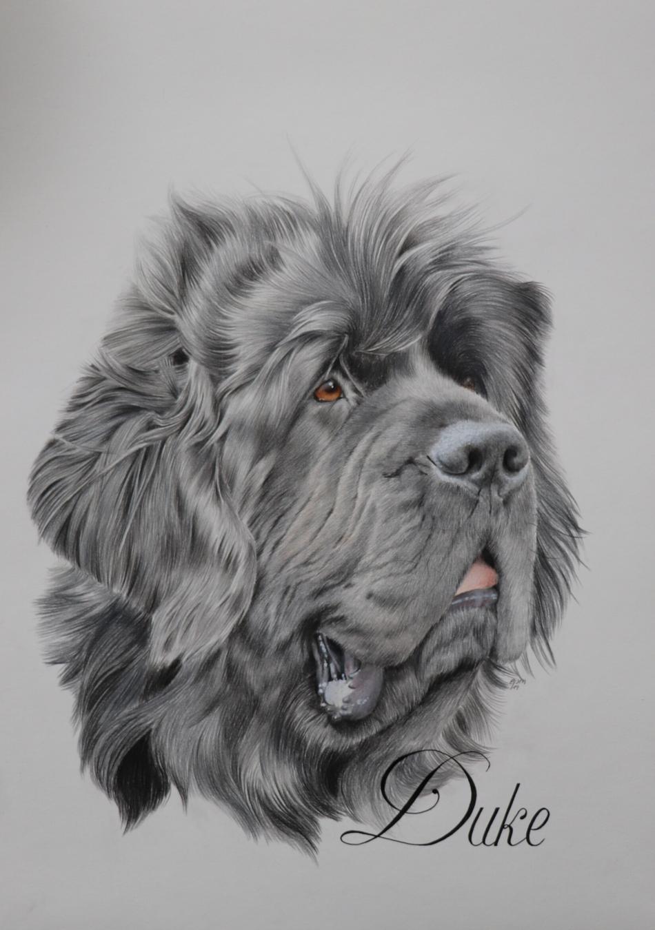 Duke von Peps' Kreativer Winkel Duke