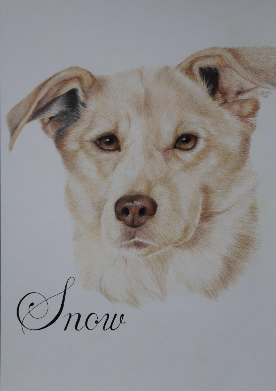 Snow von Peps' Kreativer Winkel Snow