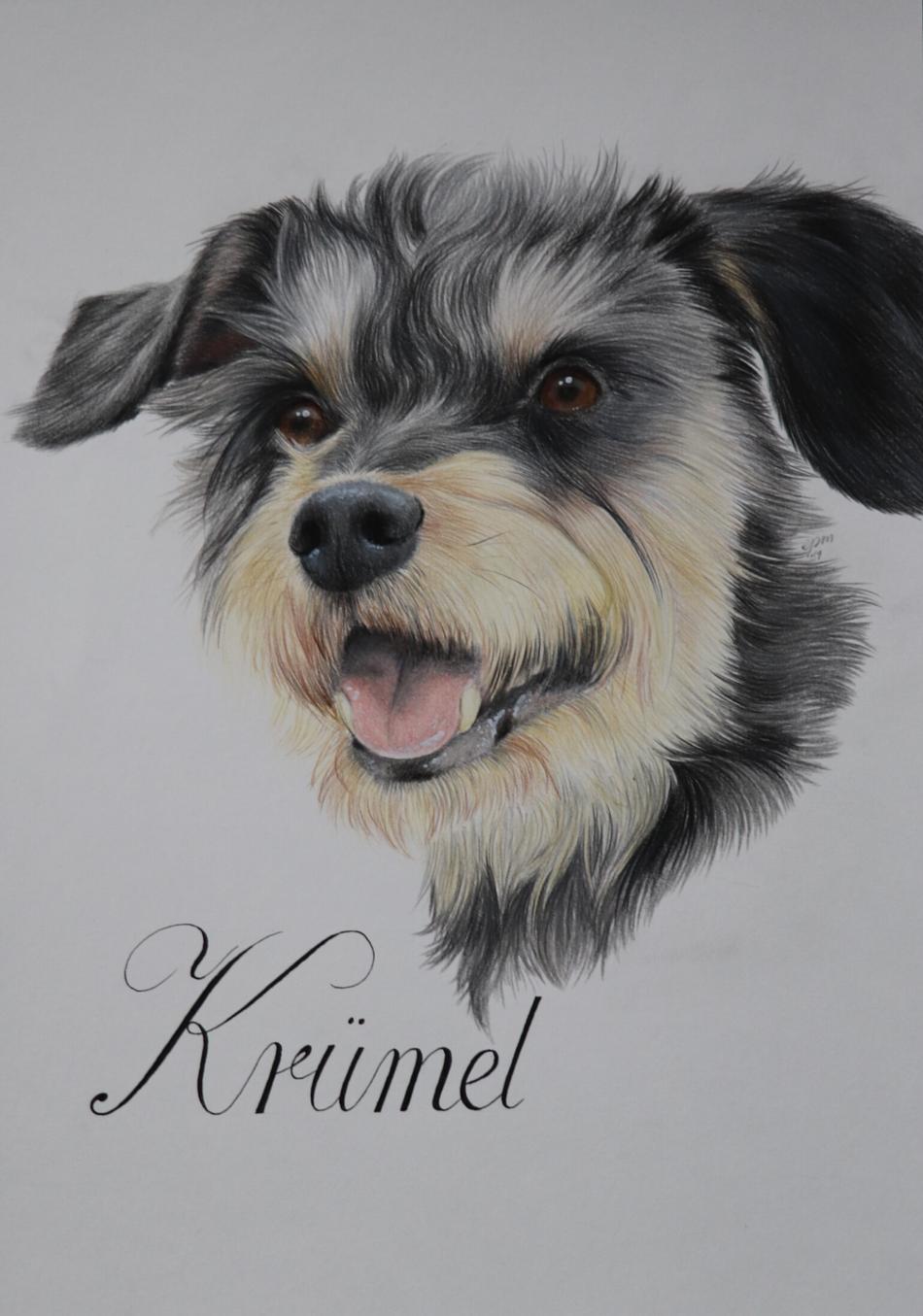 Krümel von Peps' Kreativer Winkel Krümel