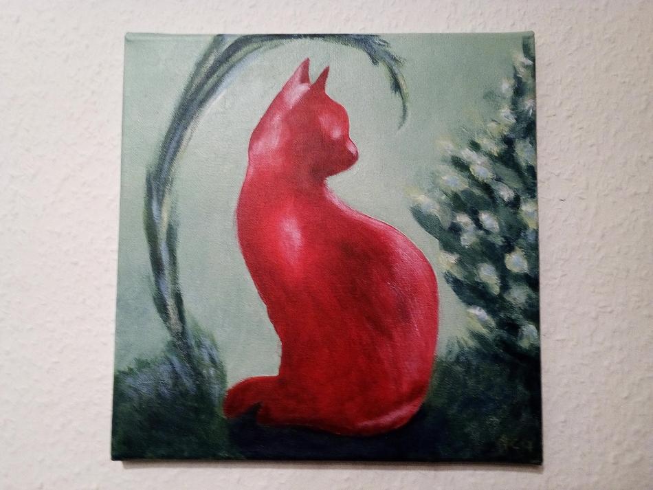 Rote Katze von Jadra Rote Katze