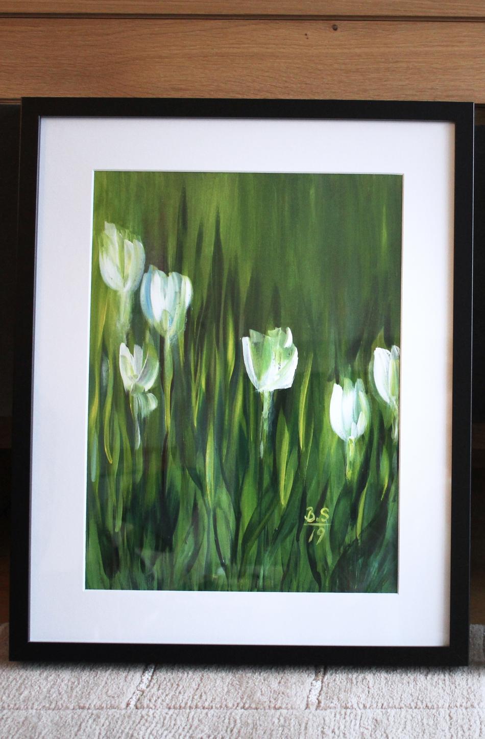 Tulpen von B.S. Tulpen
