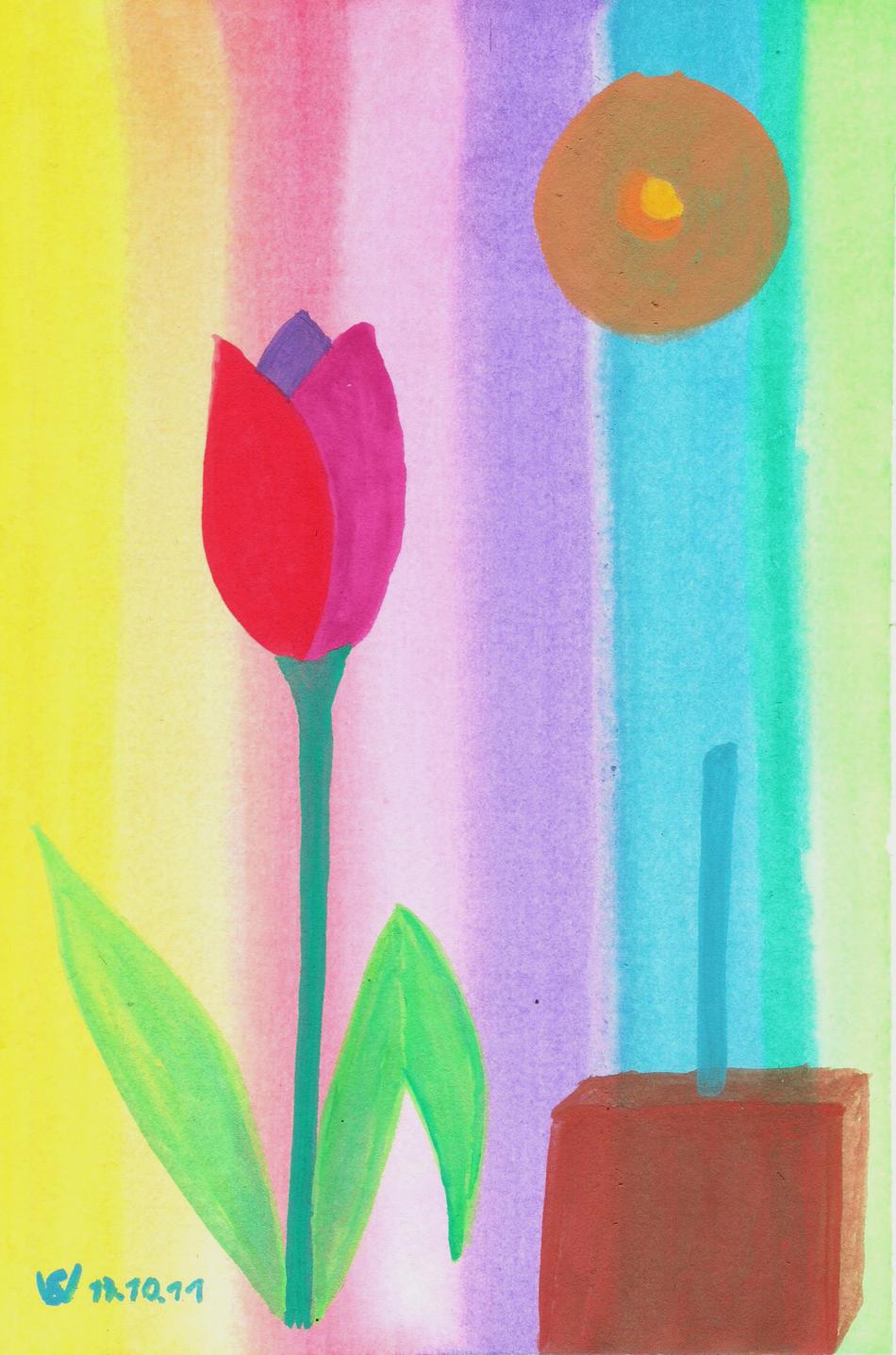 Tulpe Regenbogen von ste.will Tulpe Regenbogen