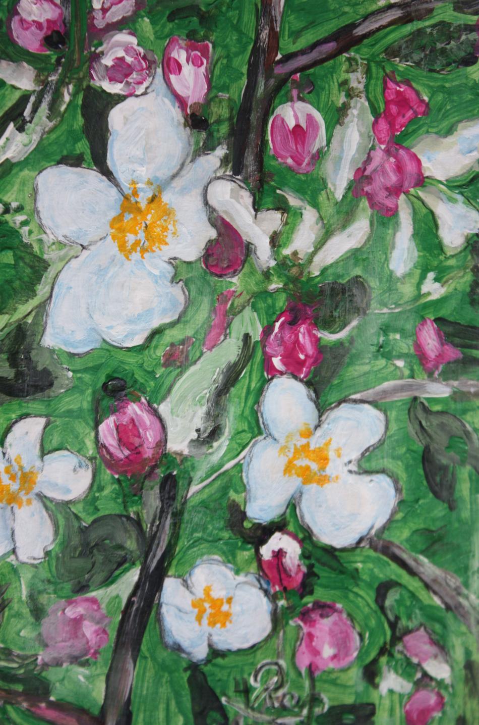 Apfelblüte von Apfelblüte