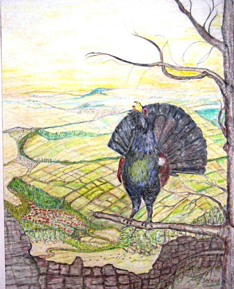 Auerhahn von Auerhahn