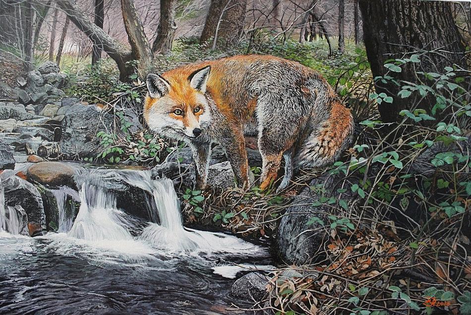 Fuchs am Wasserfallklein.jpg von Mario Hannemann Fuchs am Wasserfallklein.jpg