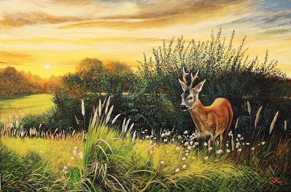 Rehbock im Sonnenuntergang von Mario Hannemann Rehbock im Sonnenuntergang