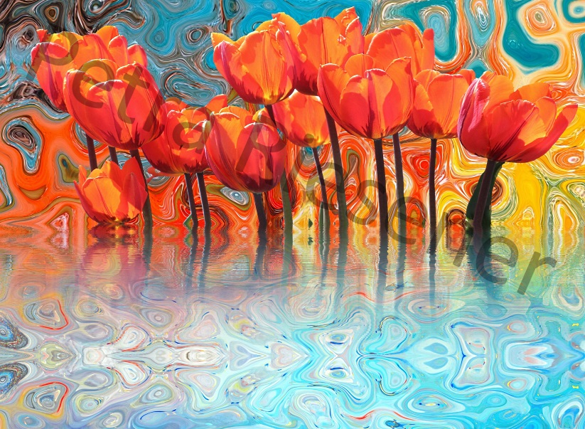 Frühling von Farbenrausch Frühling