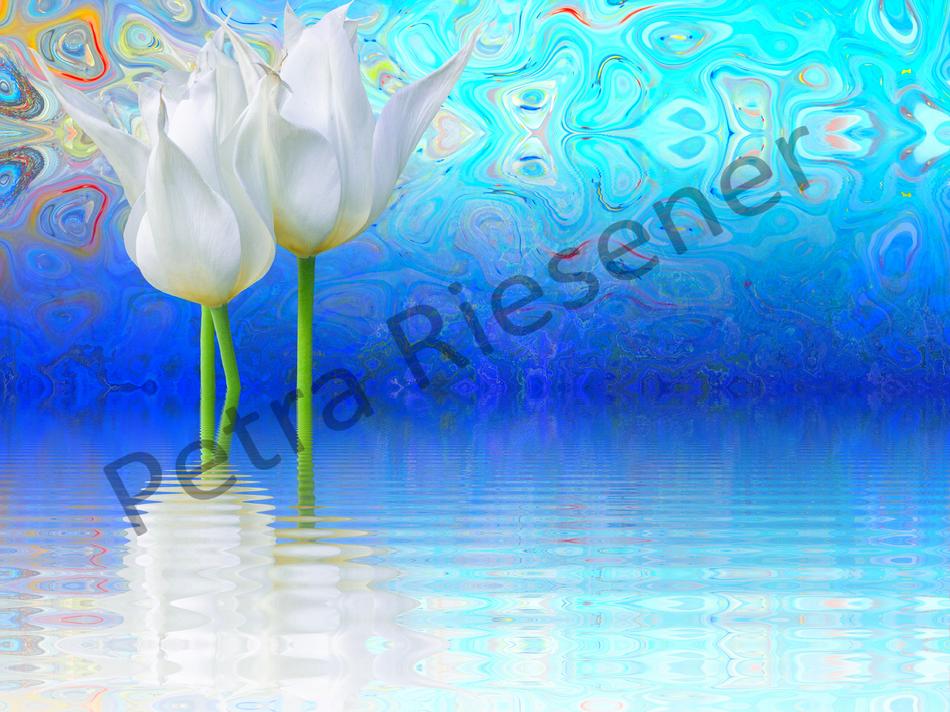 Spiegelbild von Farbenrausch Spiegelbild
