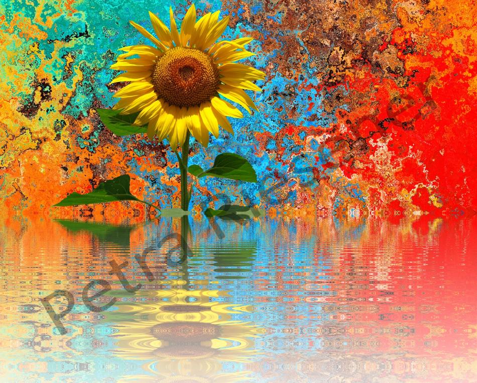 Sonnenblume von Farbenrausch Sonnenblume