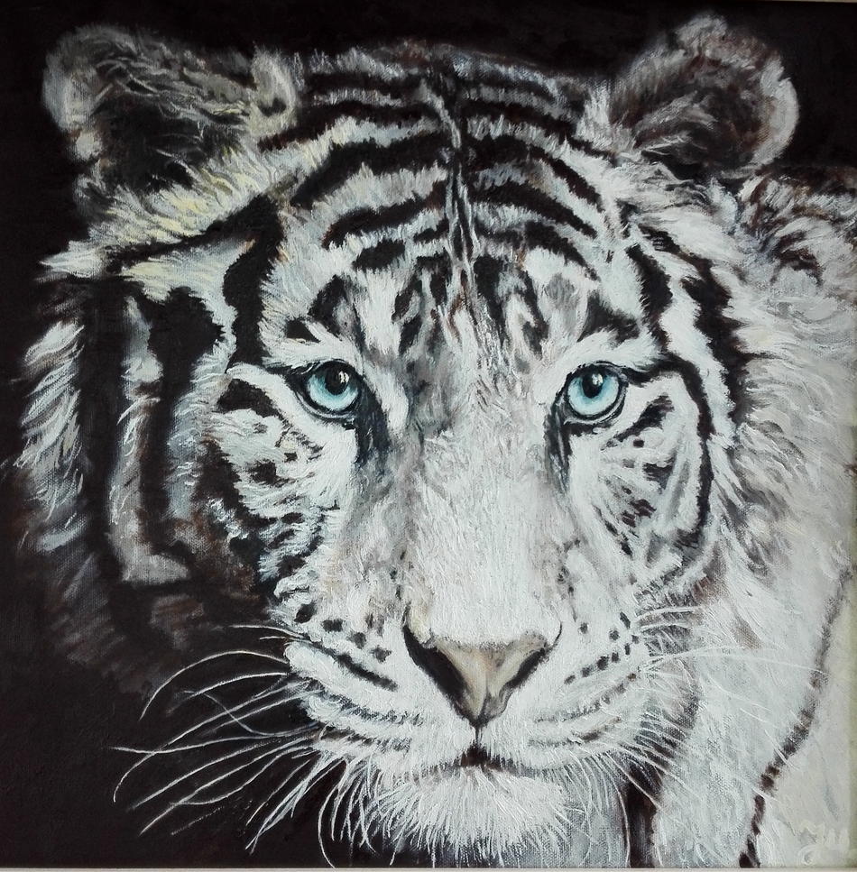 Weißer Tiger von Ju Weißer Tiger