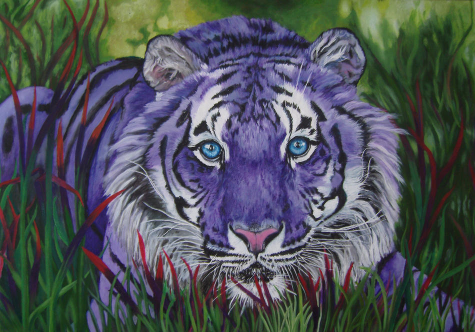 Lila Tiger von Ju Lila Tiger