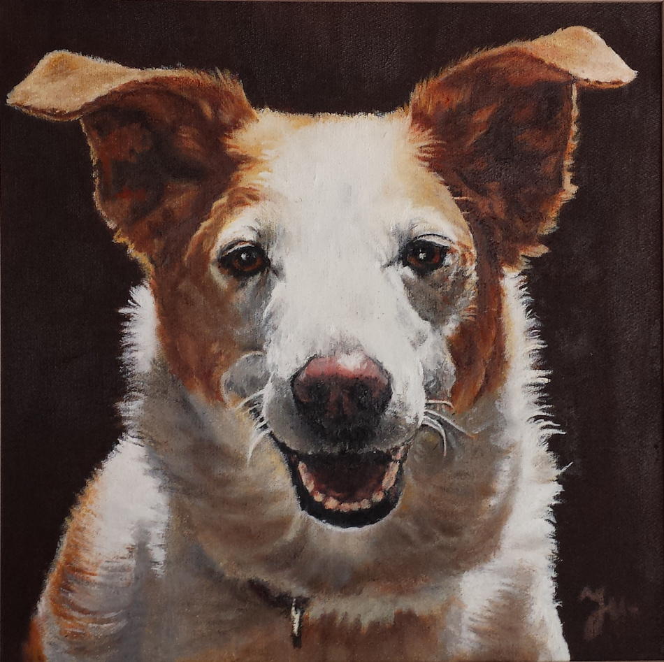 Hund von Ju Hund