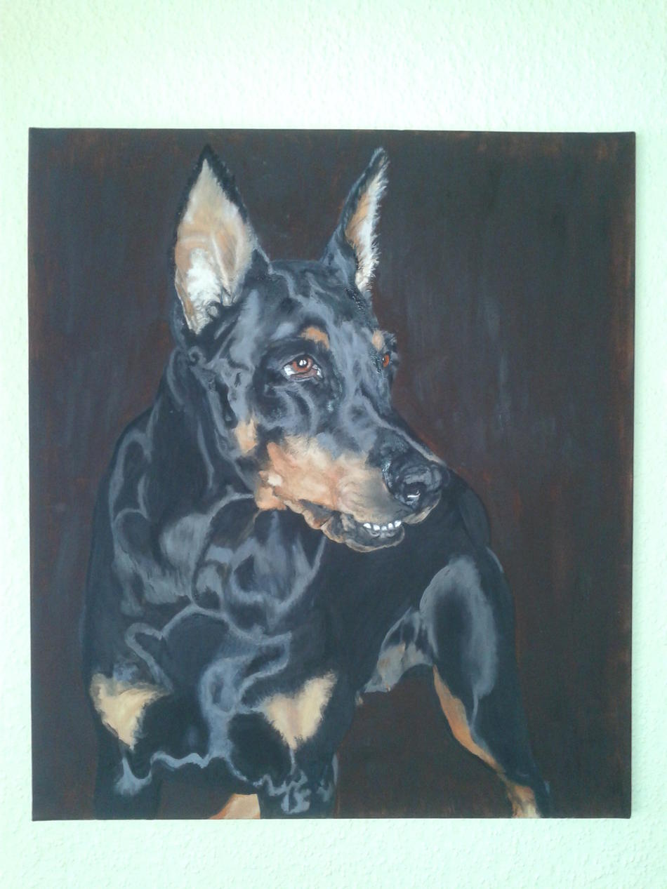 Dobermann von Ju Dobermann