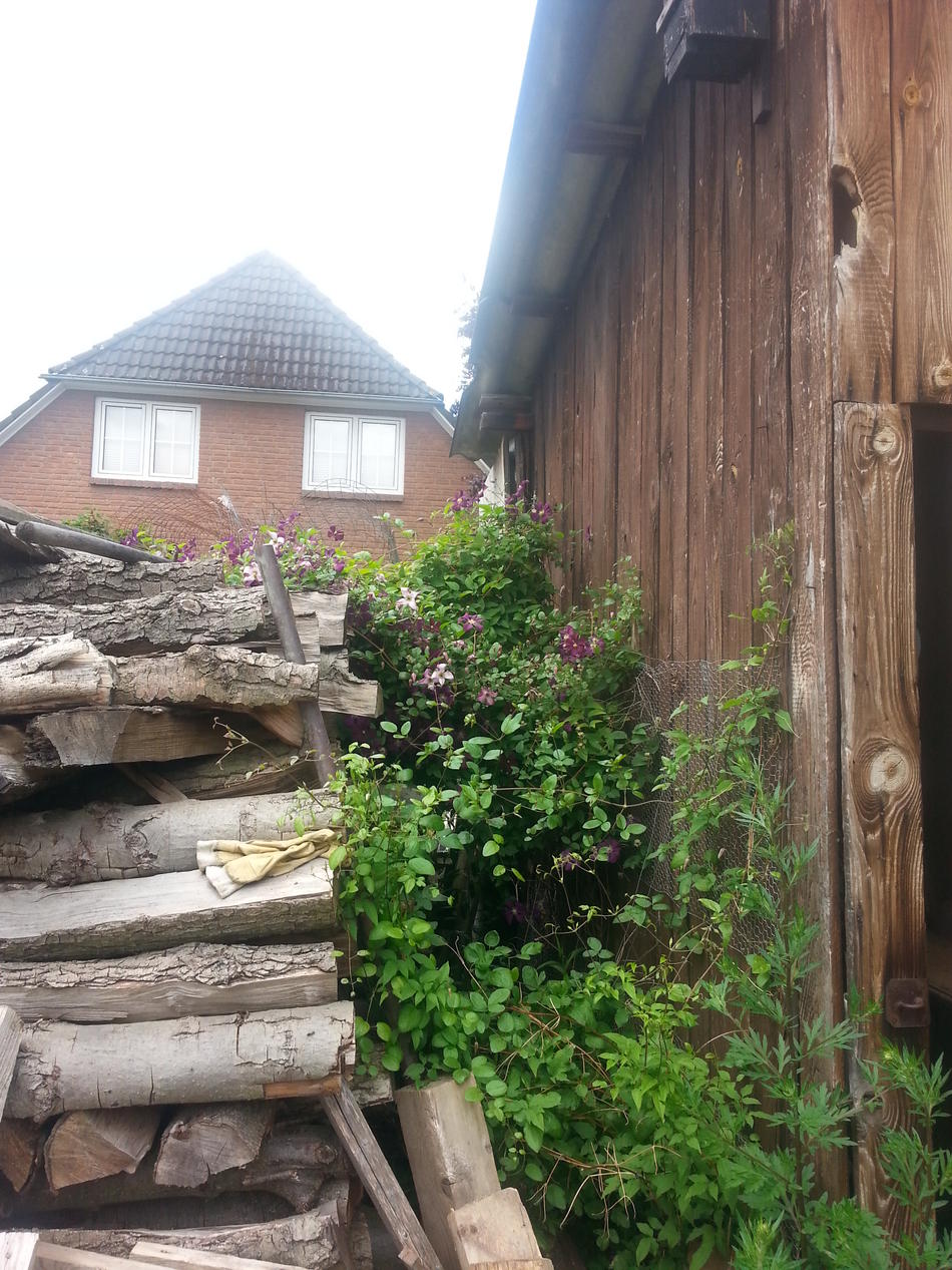 Alte Schuppen von Liliforever Alte Schuppen