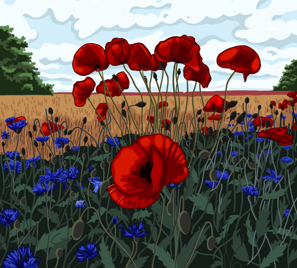 Mohn von Mohn
