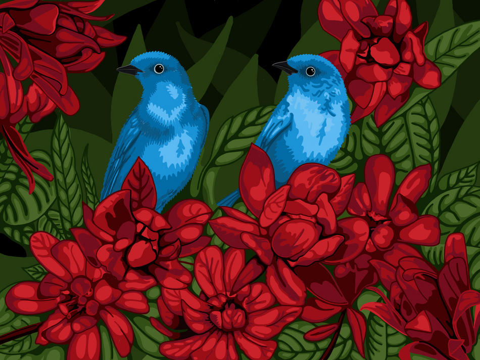 Blue birds von Blue birds