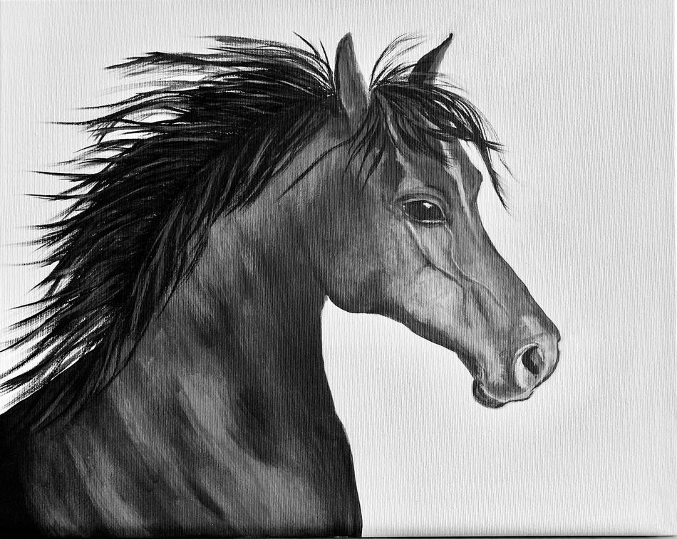 Black Horse von Anna Jod Black Horse