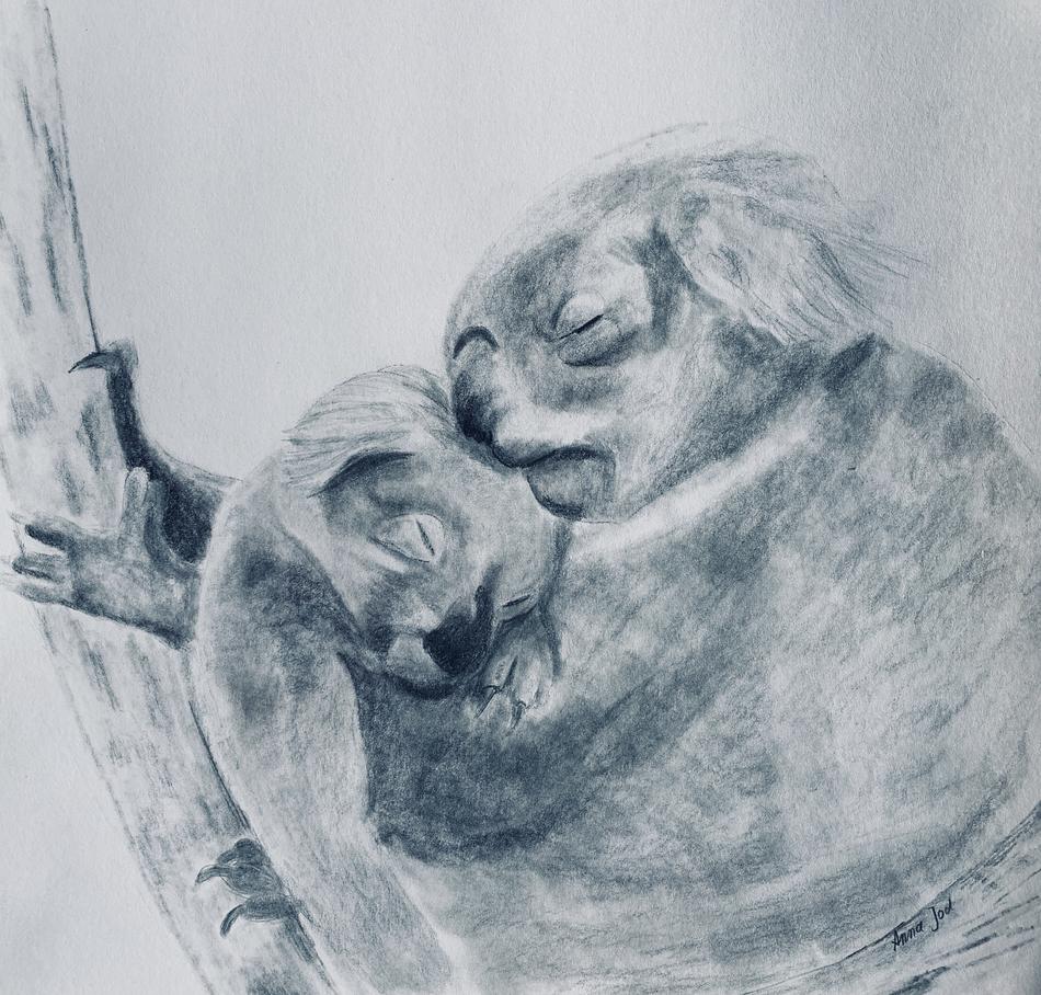 Koala von Anna Jod Koala